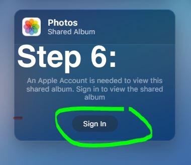 Step 6: (Android/Google, non-apple users) Click "Sign In"